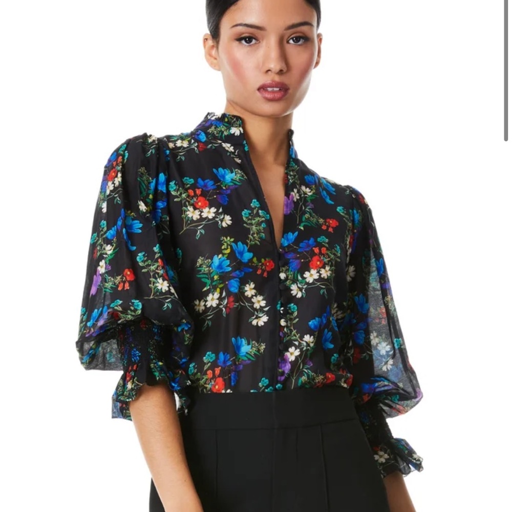 NWT Alice + Olivia Ilan Smocked Sleeve Button Front Blouse